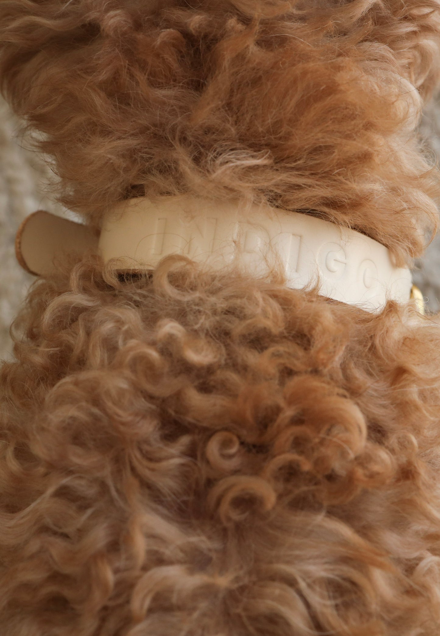 Personalised Collar - Bone